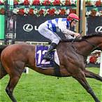 best horse to bet on melbourne cup